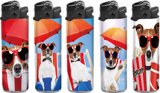 Funzione della sigaretta Lighter slim flint monouso ricaricabile in plastica con stile decorativo