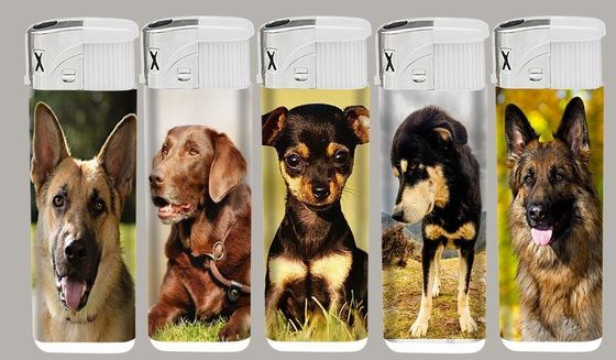 Accendino elettronico monouso in plastica a torcia per sigaretta/regalo/decorativo