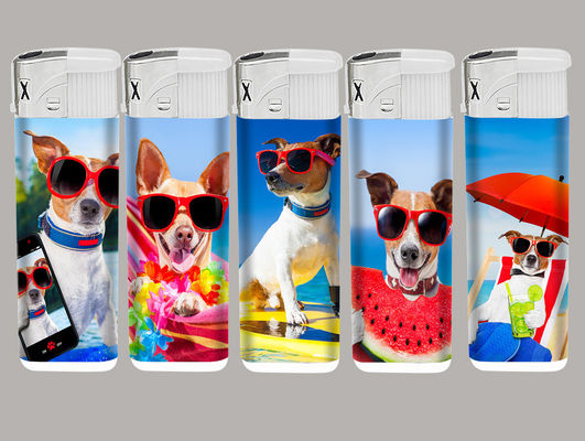 Ricaricabile Acciaio elettrico per cucina Luciere Animali Case personalizzate in metallo Luciere video Metal Windproof